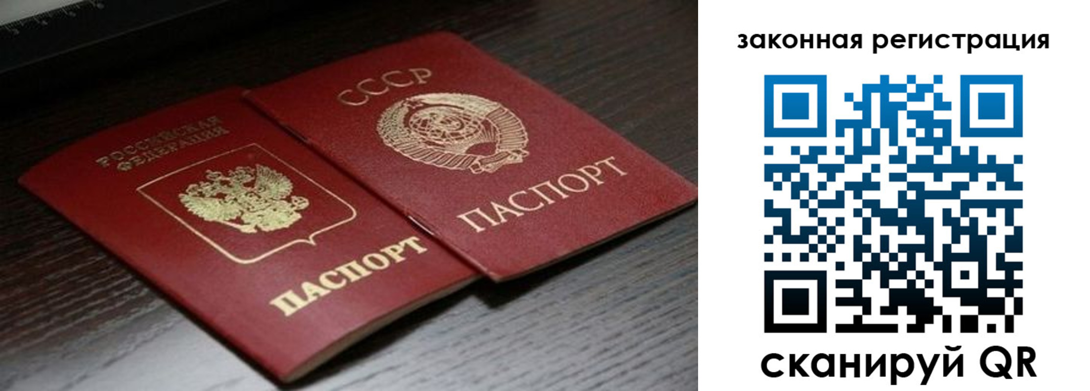 прописка поиск в Курчатове
